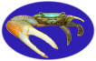 Mr. Fiddler Crab (Sea Animal Adventures)